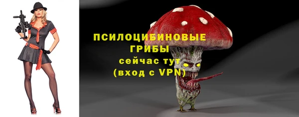 Альфа ПВП Алексин